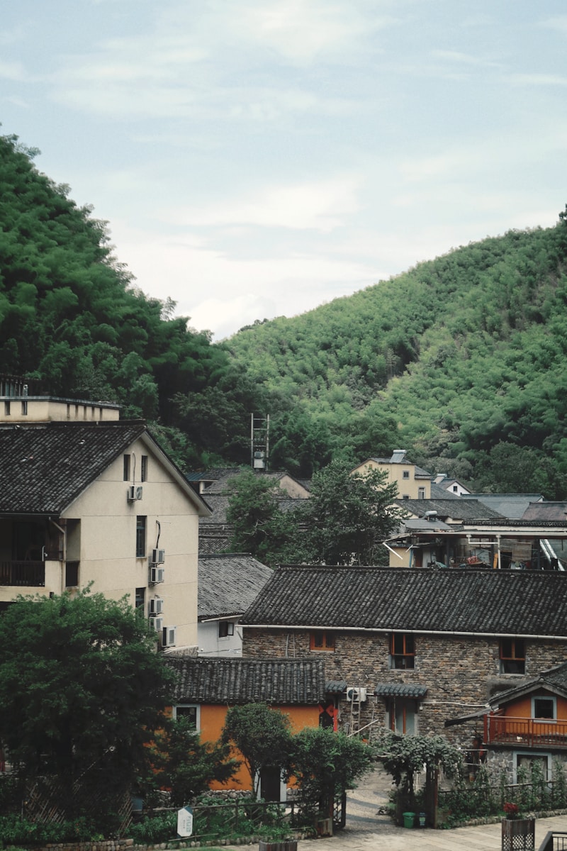 烟草行业助力乡村振兴